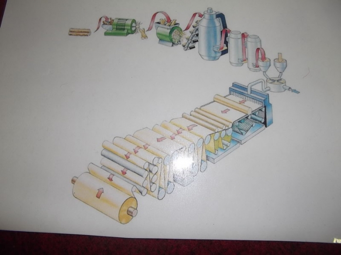 ŐKO-KUCKÓ (35)