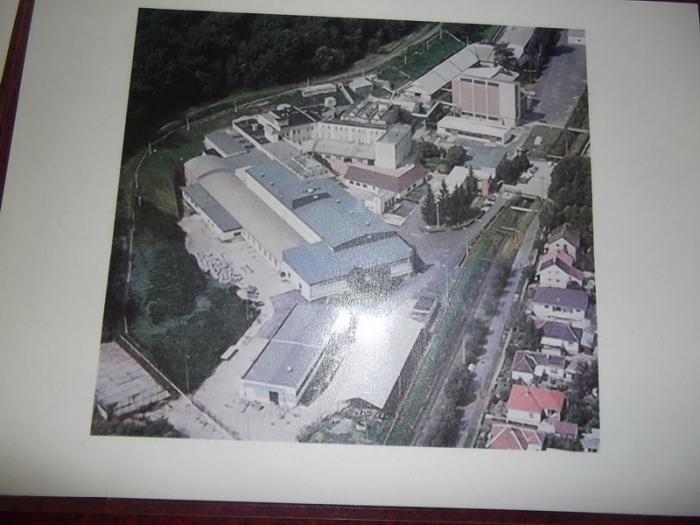 ŐKO-KUCKÓ (36)
